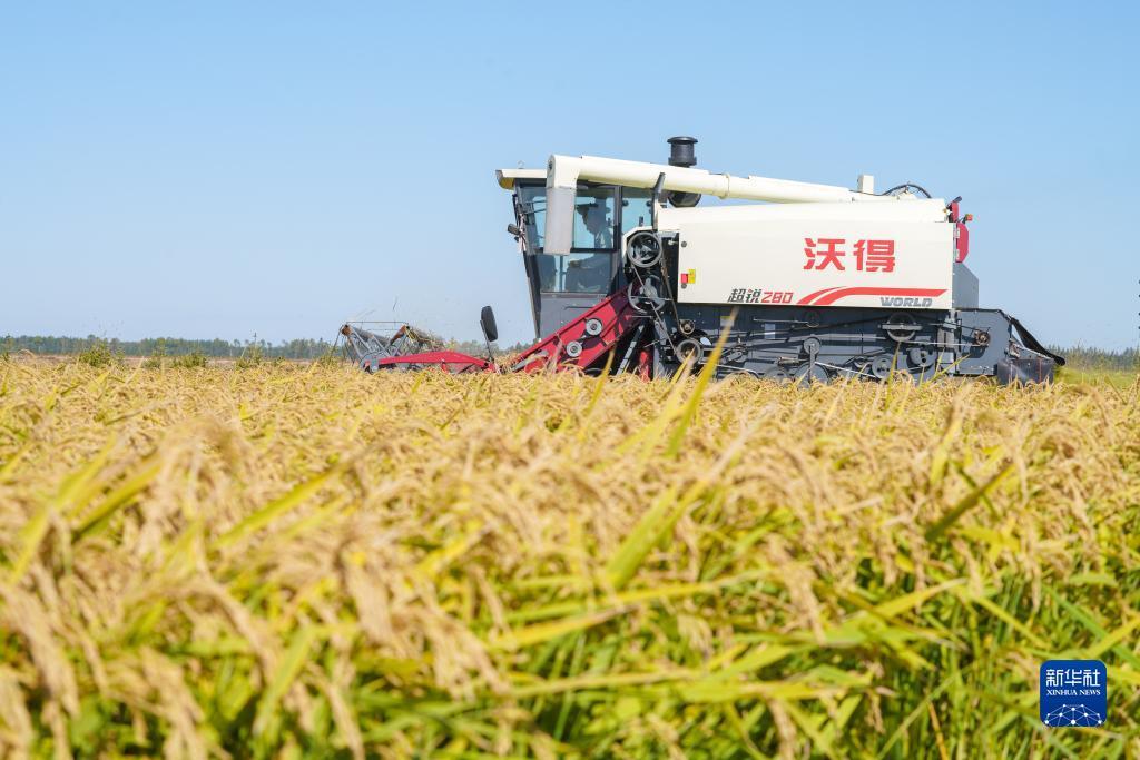 新濠娱乐app下载